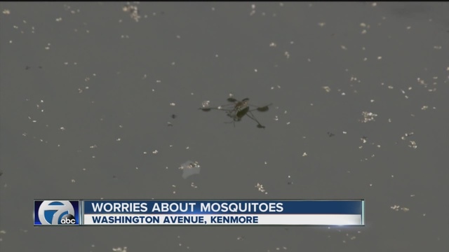 Ohio officials urge precautions against mosquitoes - Daily Journal