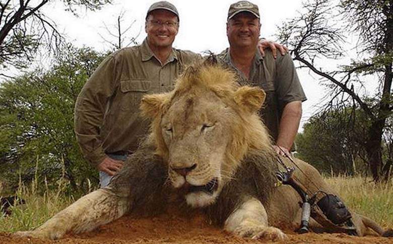 Outrage grows following killing of Zimbabwe lion