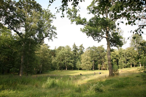 Stewart Turkington

Lily Hill Park in Bullbrook which has retained its Green Flag status