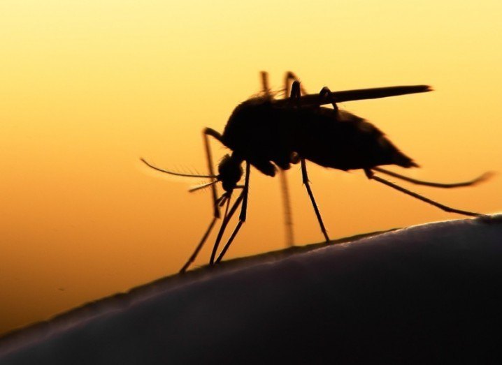 'malaria death africa vaccine mosquito