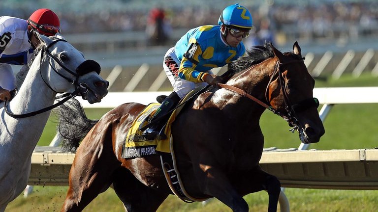 American Pharoah during the 48th William Hill Haskell Invitational at Monmouth Park