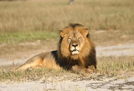 Hwange National Park Zimbabwe