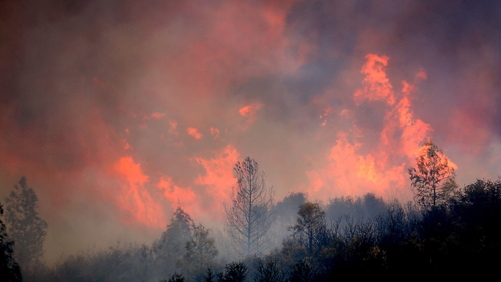 71 Australian and New Zealand firefighters are flying to the US to battle more than 100 wildfires