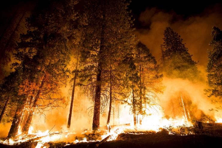 Washington Fires