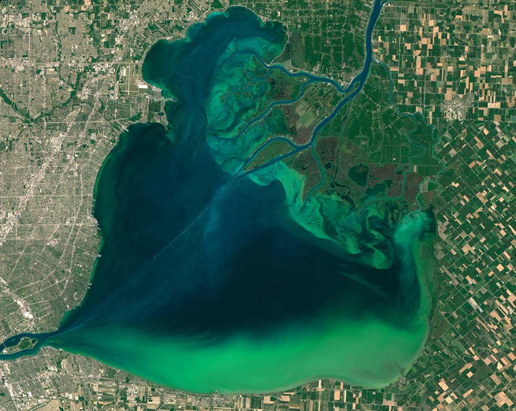 Image Algae bloom in Lake St. Clair