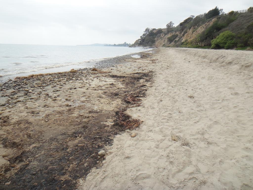 Dark areas of oil stained the beach at Santa Barbara County's Lookout Park in Summerland on afternoon