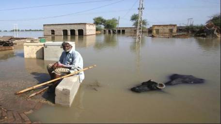 Death toll from Pakistan flash floods rises to 118