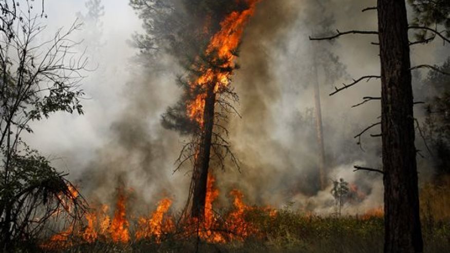 Deadly wildfires charge across Western states