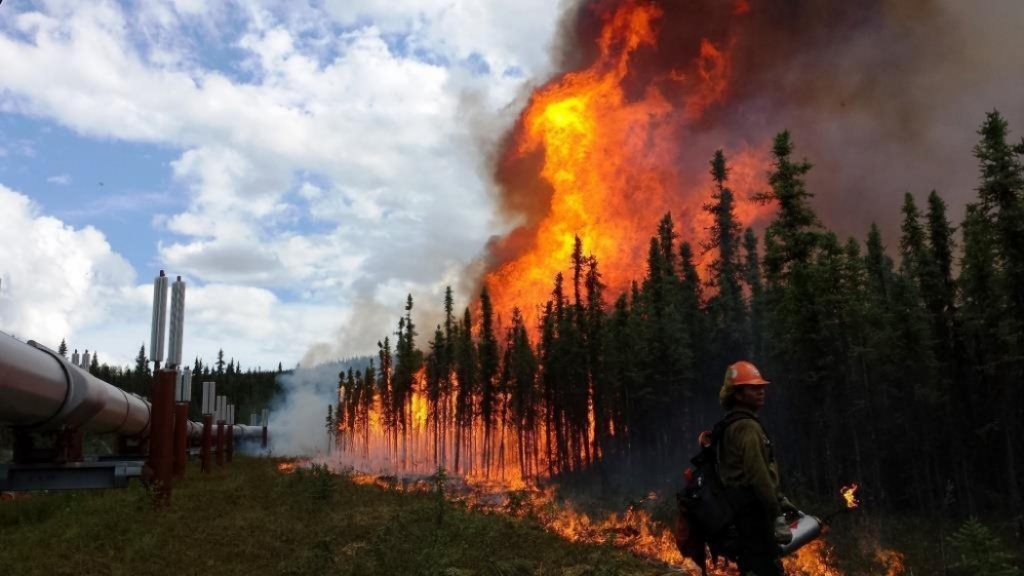 Dry, windy conditions challenge Washington state firefighters