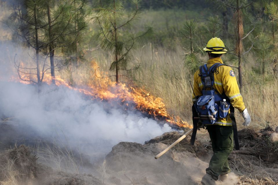 Raging Washington wildfires grow by 100 square miles