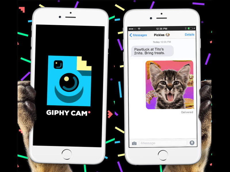 Giphy Cam