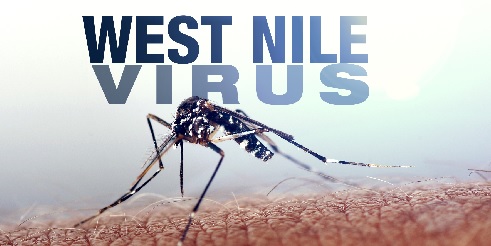 West Nile Virus