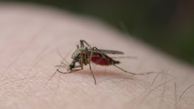 West Nile kills Williams Co. man