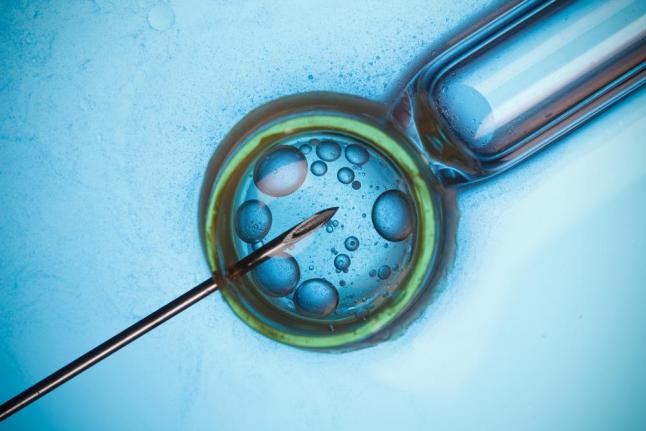 In IVF, success rate for frozen donor eggs lags behind use of fresh eggs