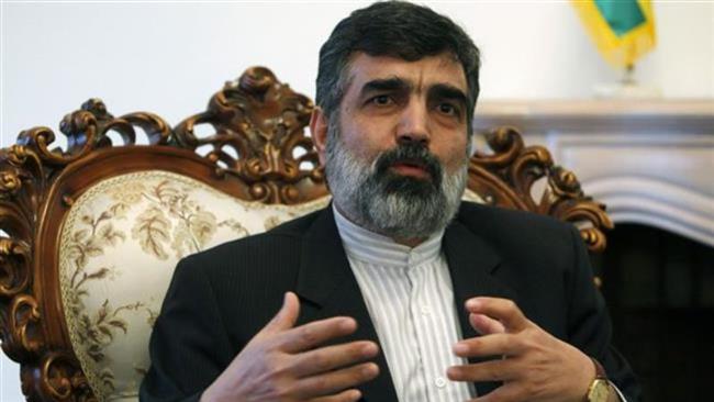 Behrouz Kamalvandi spokesman of the Atomic Energy Organization of Iran