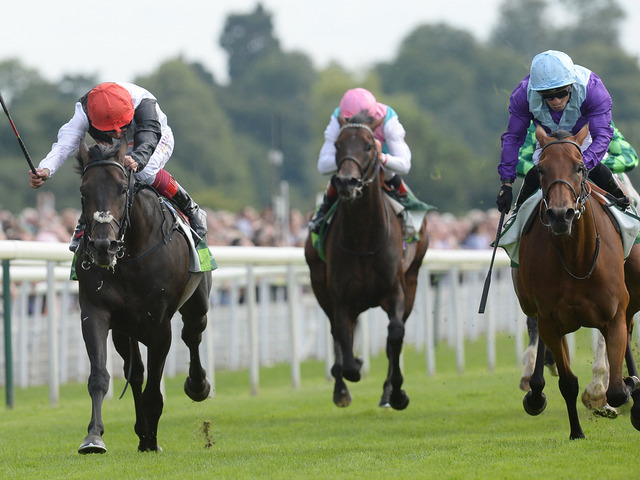 Arabian Queen battles back to claim the scalp of Golden Horn