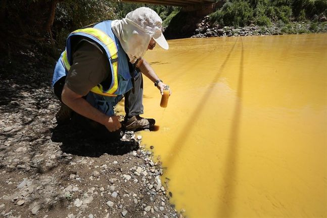 Dan Bender with the La Plata County Sheriff's Office takes a water sample from the Animas River near Durango Colo. Thursday Aug. 6 2015. The U.S. Environmental Protection Agency said that a cleanup team was working with heavy equipment Wednesday