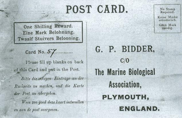 “When we got this postcard saying George Parker Bidder it was exciting because nothing like that has come back in living memory' spokesman Guy Baker said