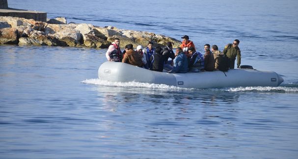 Disruptive, unnatural migrations need to be better regulated