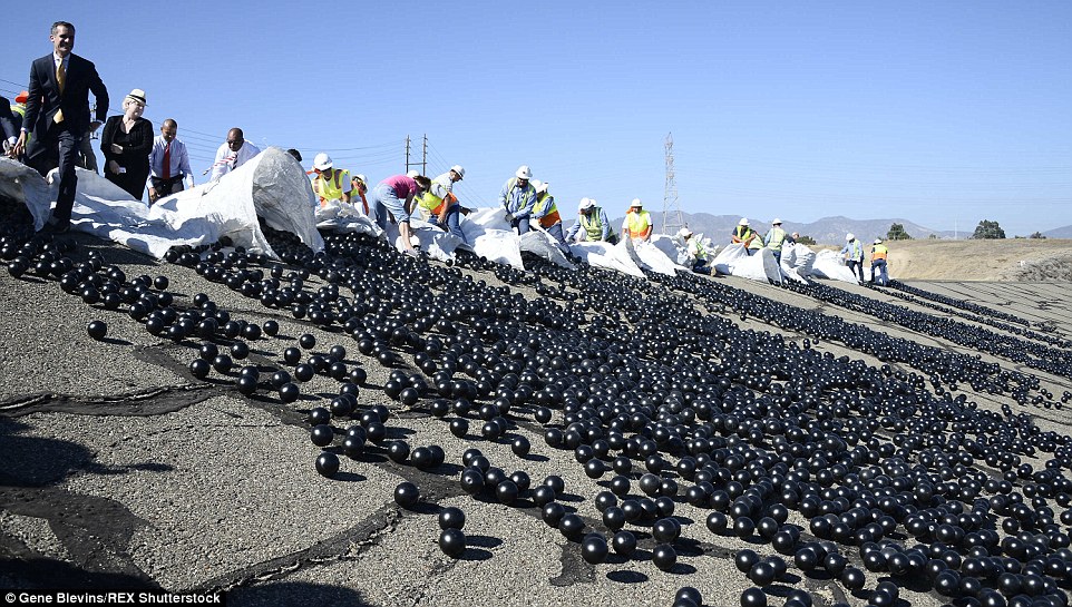 LA Dumps Black Balls into Reservoirs to Stop Evaporation