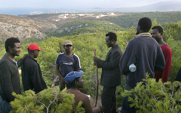 African immigrants are seen in a forest near the razor wire fences separating Morocco from the Spanish enclave of Melilla at the Rostrogordo border area in Morocco Thursday Oct. 27 2005