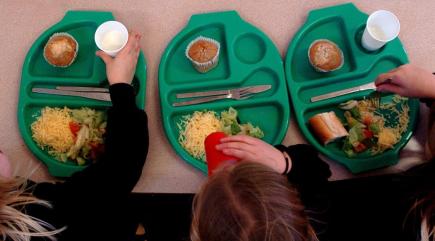 Children who are fussy eaters may be anxious or depressed, say scientists