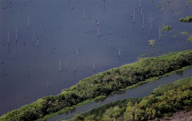 Chicago Tribune columnist wishes for a 'Hurricane Katrina' to clean up Chicago