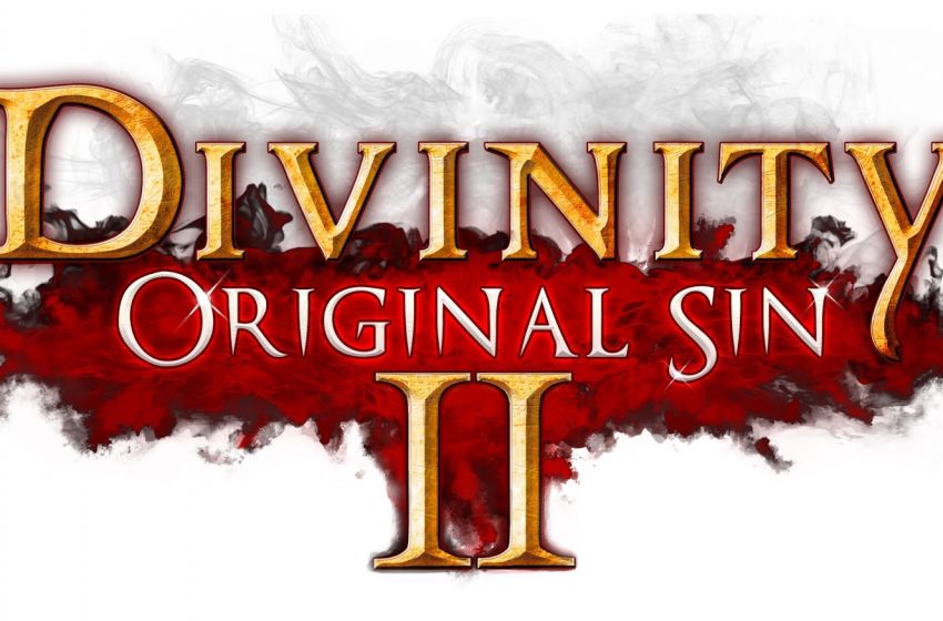 Divinity Original Sin 2 Announced Kickstarter Coming