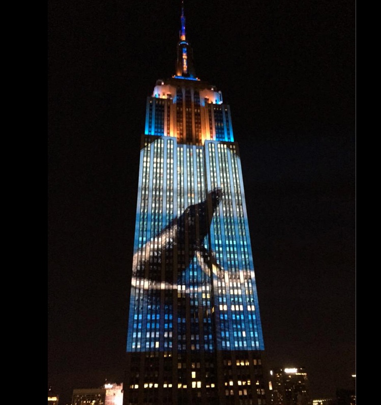 Endangered Species to Light Up the Empire State Building