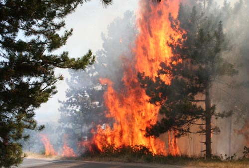 B.C. fires Rock Creek fire destroys 29 homes in Southern Interior