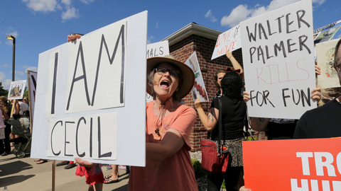 Protestors gather outside Dr. Walter James Palmer's dental office in Bloomington