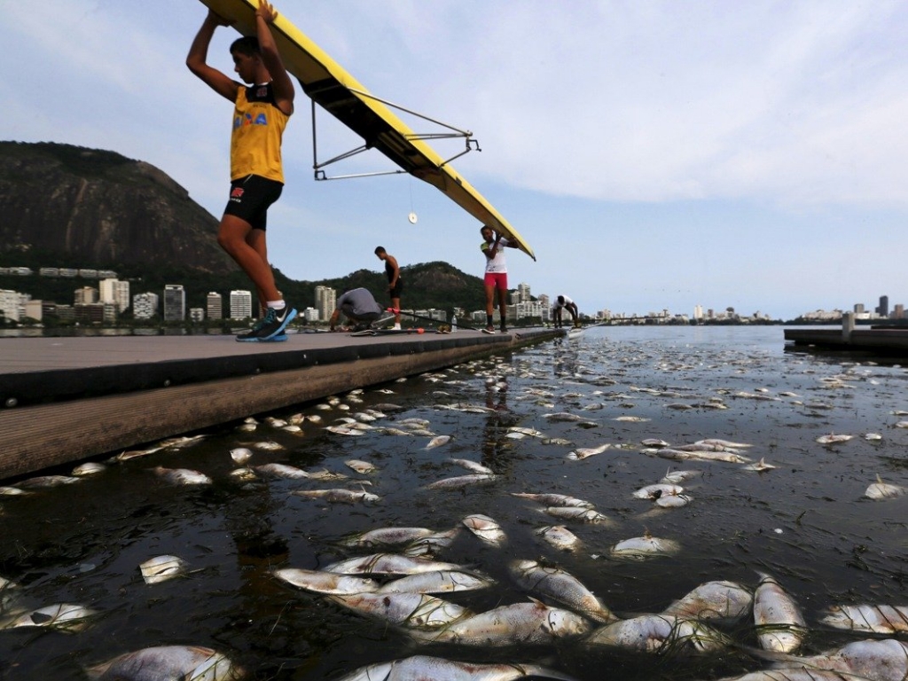 Ricardo Moraes  ReutersRowers at the Rodrigo de Freitas lagoon