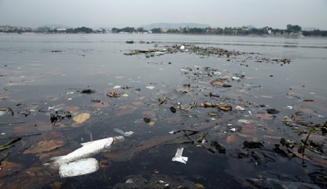 Guanabara-Bay-pollution-in-Rio-594x385