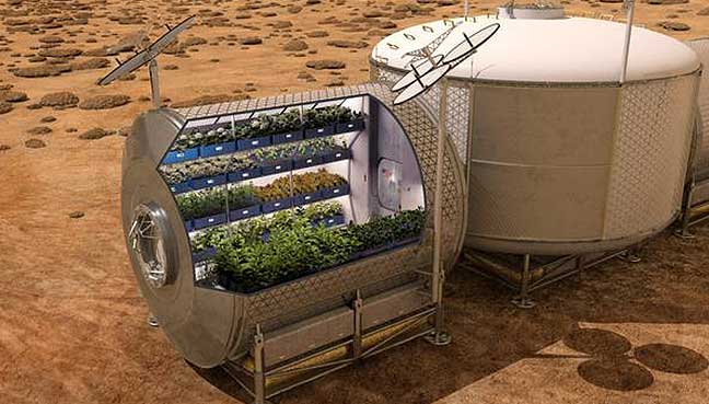 Lettuce eat: First space-grown vegetables on the menu for NASA astronauts