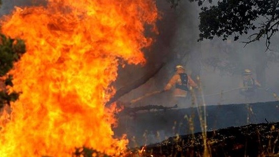 The Grizzly Bear Complex fire has burned around 2,000 acres. It is located near the Washington Oregon border about 20 miles Southeast of Dayton Washington