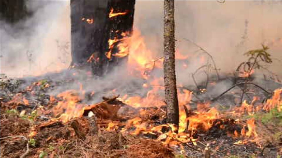 'Stouts Fire' in Milo area up to 600 acres; homes evacuated