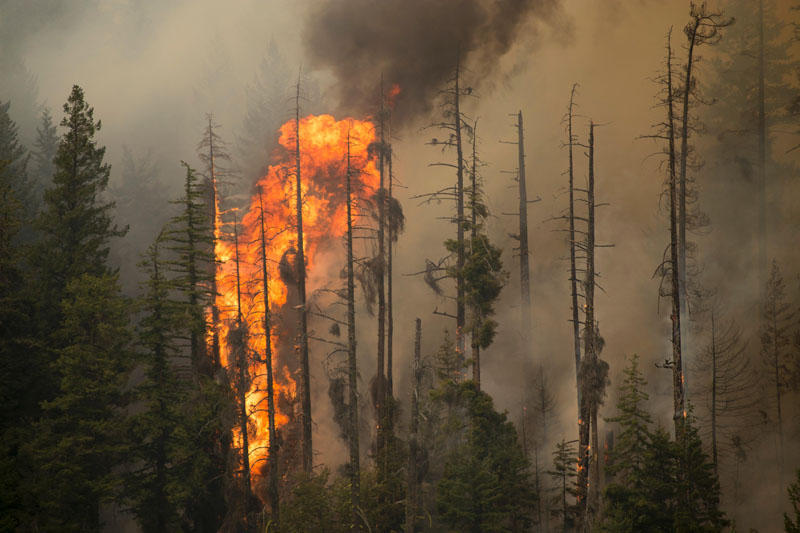 President Obama Declares Emergency in Washington