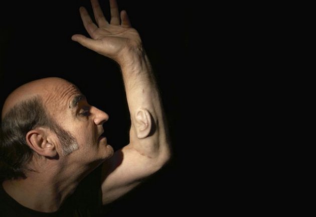 Stelarc plans to connect an implanted ear he has been growing on his arm to the Internet