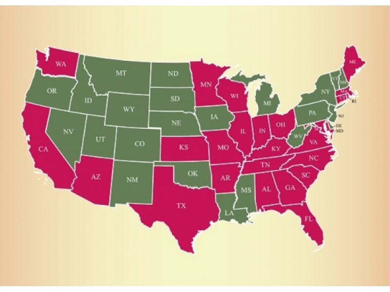 Mutated 'Super Lice&#039 Strike in 25 States Could NY Be