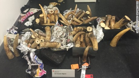 The ivory was discovered in a random check at Zurich Airport