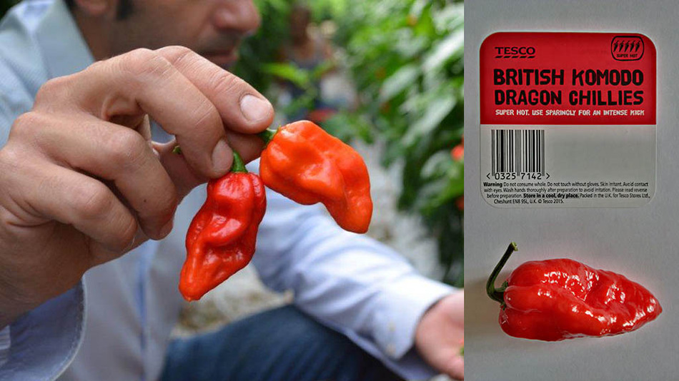 Tesco_komodo_dragon_chilli_pepper