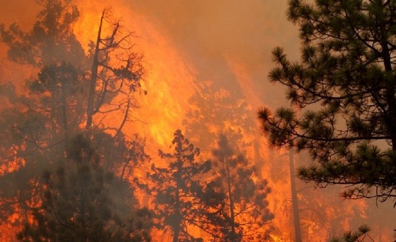 Three U.S. Forest Service personnel killed in Washington fire