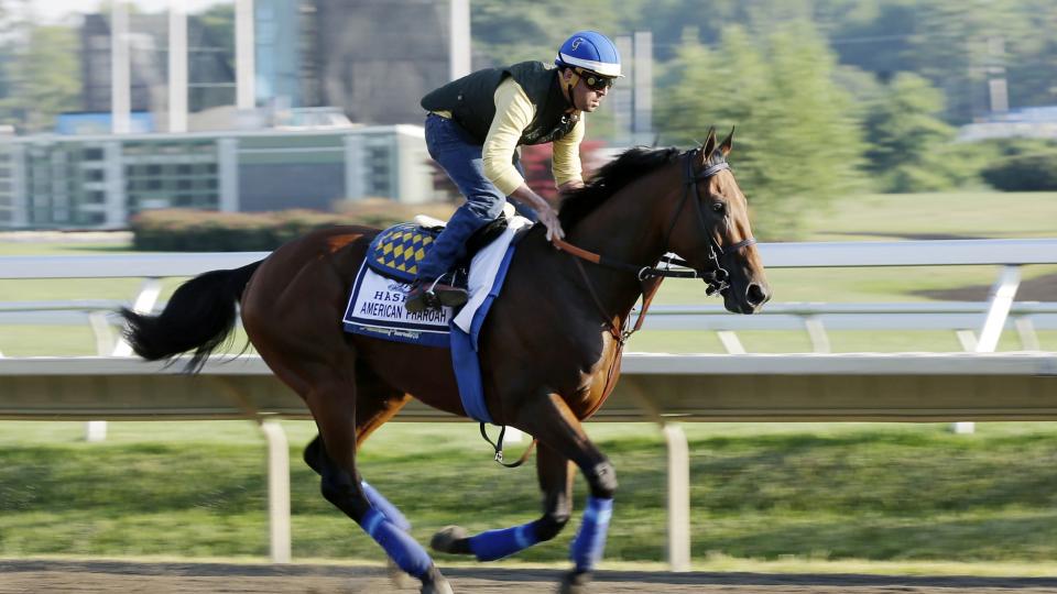 Triple Crown winner American Pharoah with Jorge Alvarez up trains at Monmouth Park in Oceanport N.J. Saturday Aug. 1 2015. American Pharoah is preparing for Sunday's running of the Haskell Invitational horse race