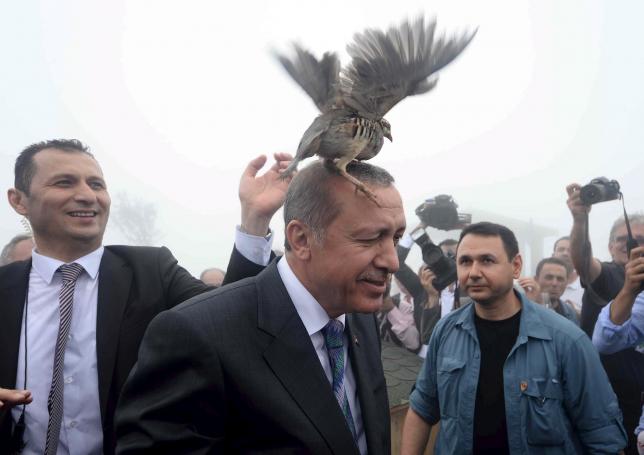 A grouse sits Turkish President Tayyip Erdogan's head as he visits a facility of the Forest and Water Management Ministry in Rize Turkey