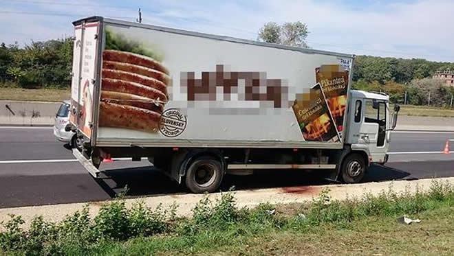 Up to 50 migrants found dead in truck in Austria