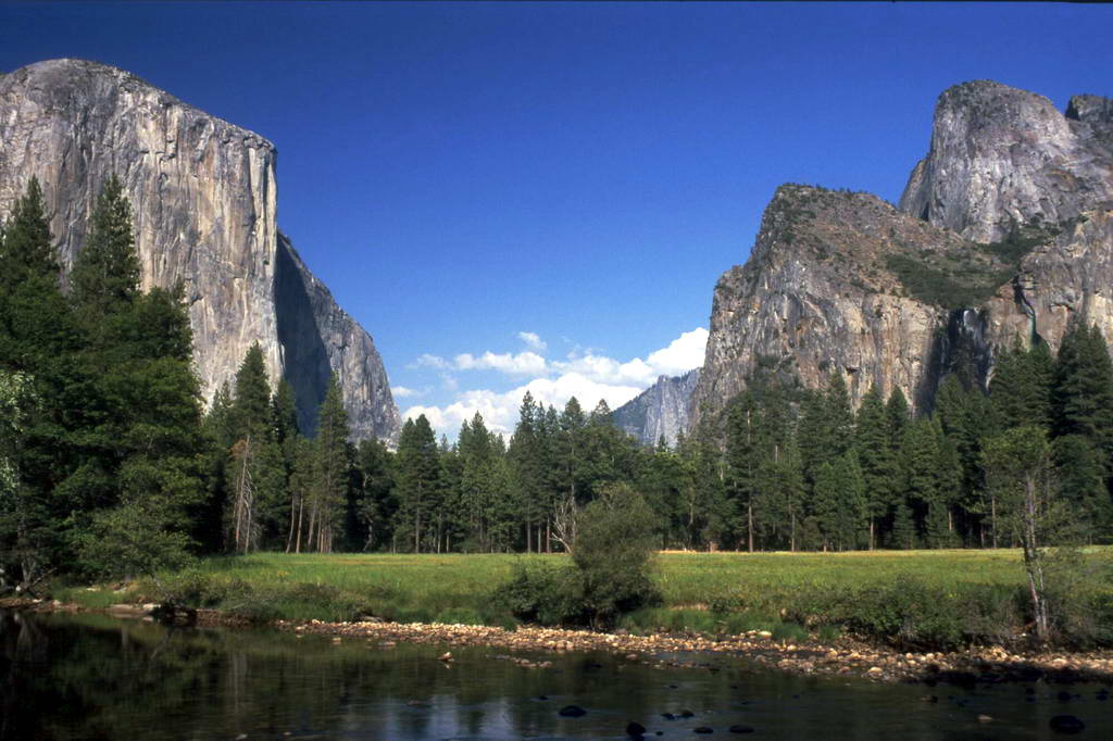 Yosemite National Forest