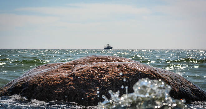 Sea Monster Discovered by Archaeologists in Baltic Sea- Clapway