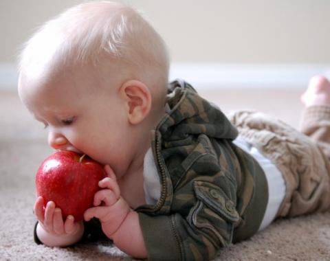 Apples Declared as Favorite Fruit for Kids in US