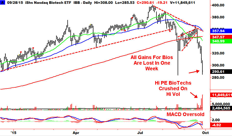 09 29 15 bb 300x176 Biotechs Slaughter Continues