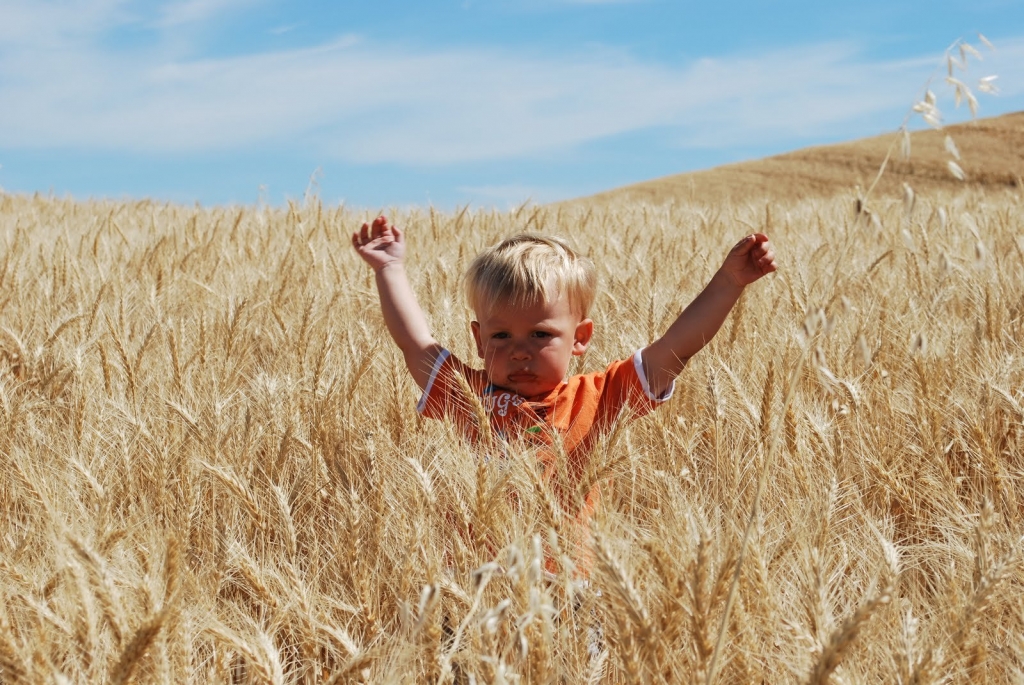 'life on a farm can reduce asthma and allergies